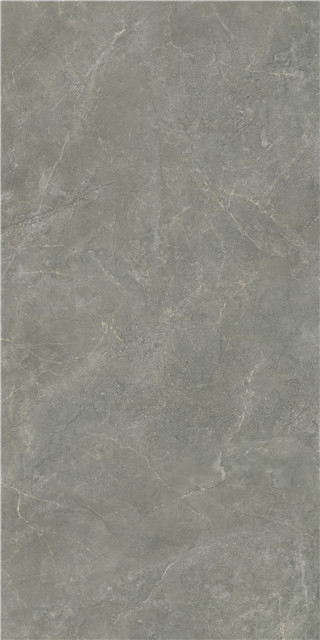 Andes Grey