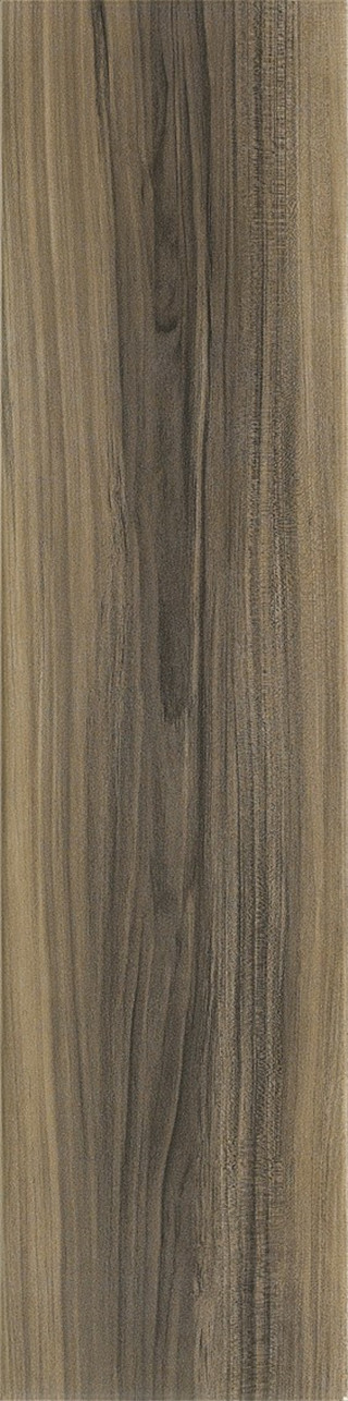 黑核桃
