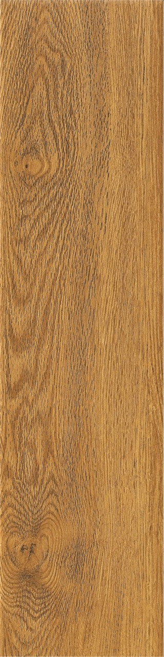 Northern European Oak